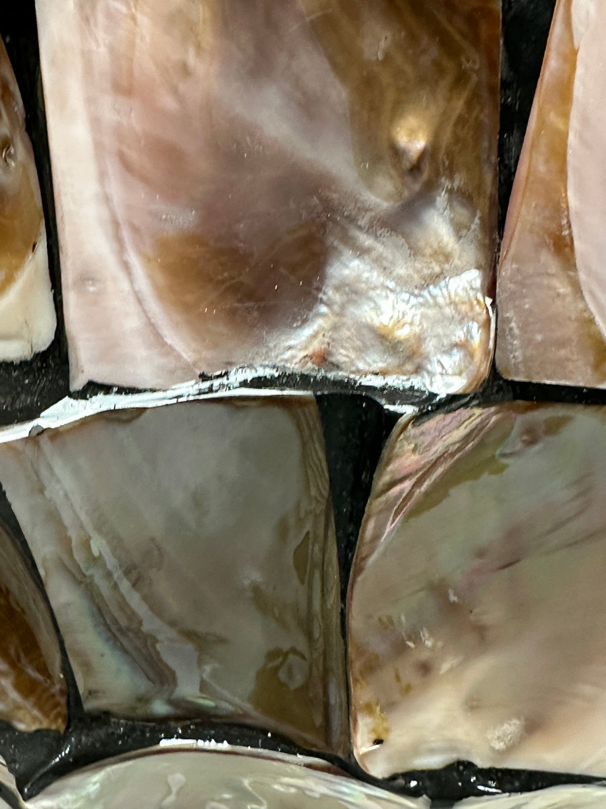Muschel Gefäss braun-schwarz